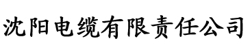 东北大炕我出生在一个小山村电缆厂logo